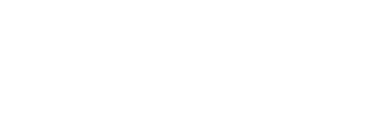 Dolphin SuperNova Connect & Learn white logo.
