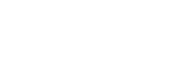 Dolphin Computer Access logo in white.