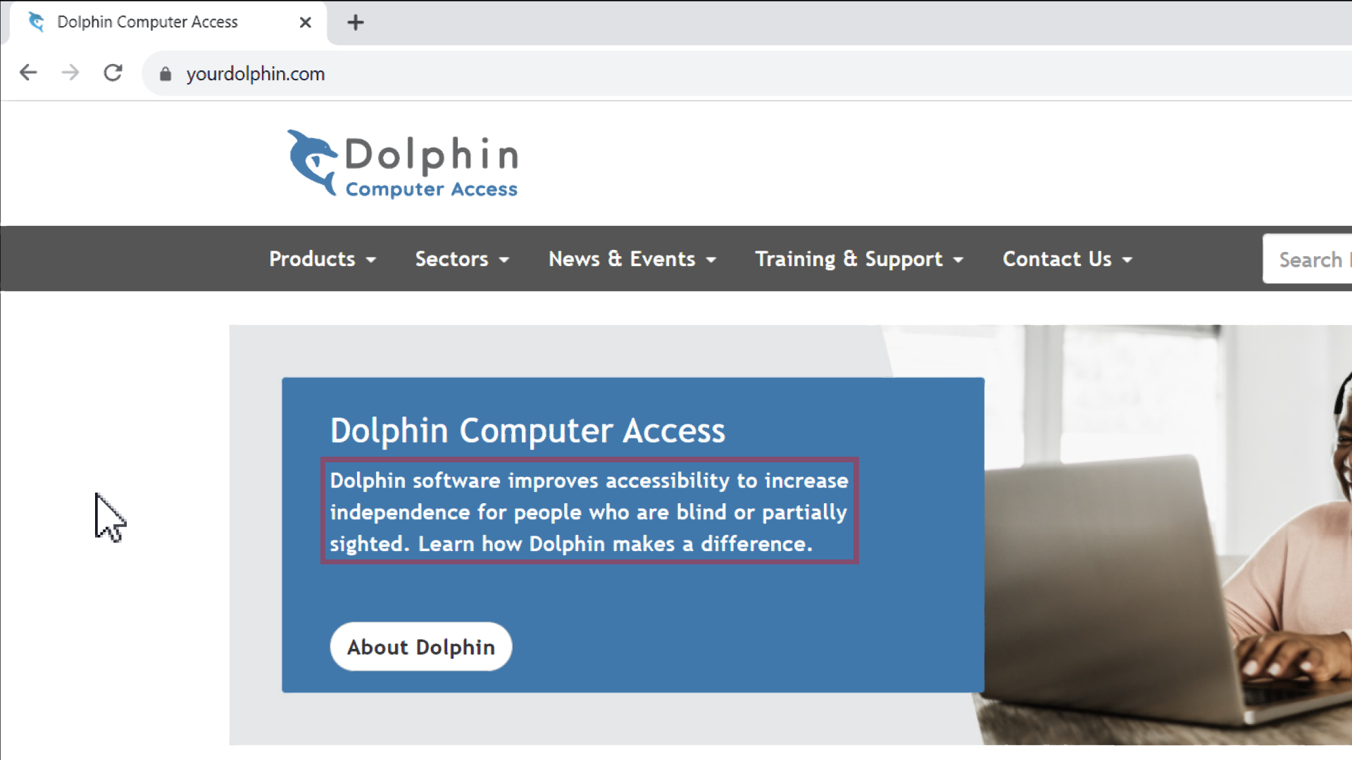 Image showing a browser on yourdolphin.com with the Dolphin Cursor highlighting text.